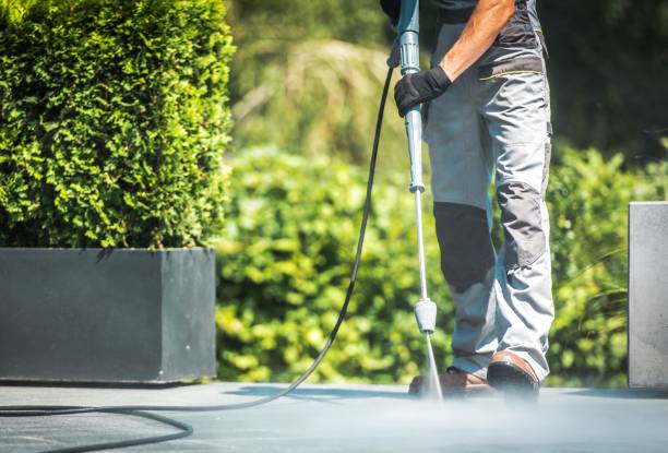 Best Dumpster Area Cleaning  in Tabor City, NC